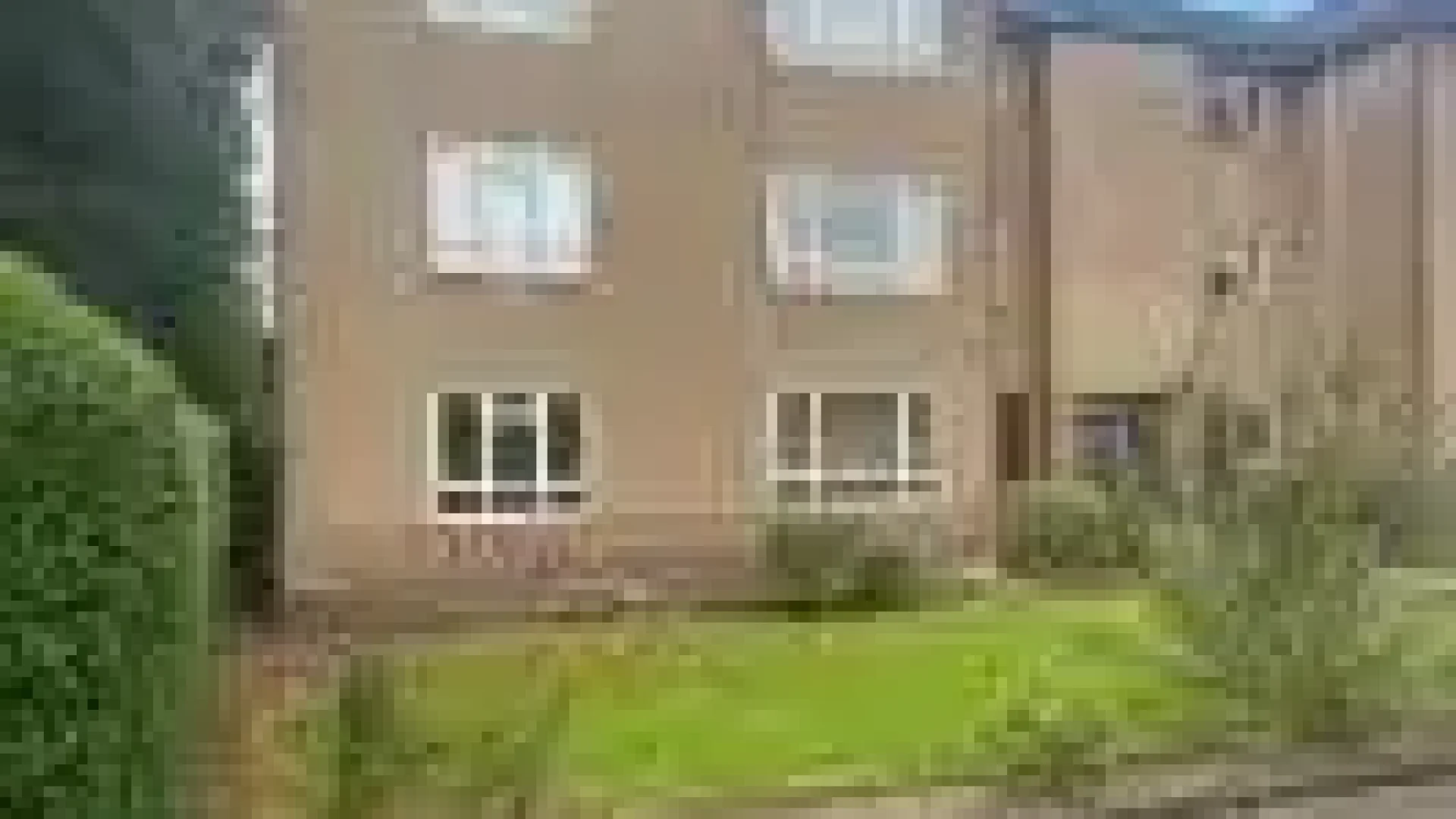 meldrum-1.webp