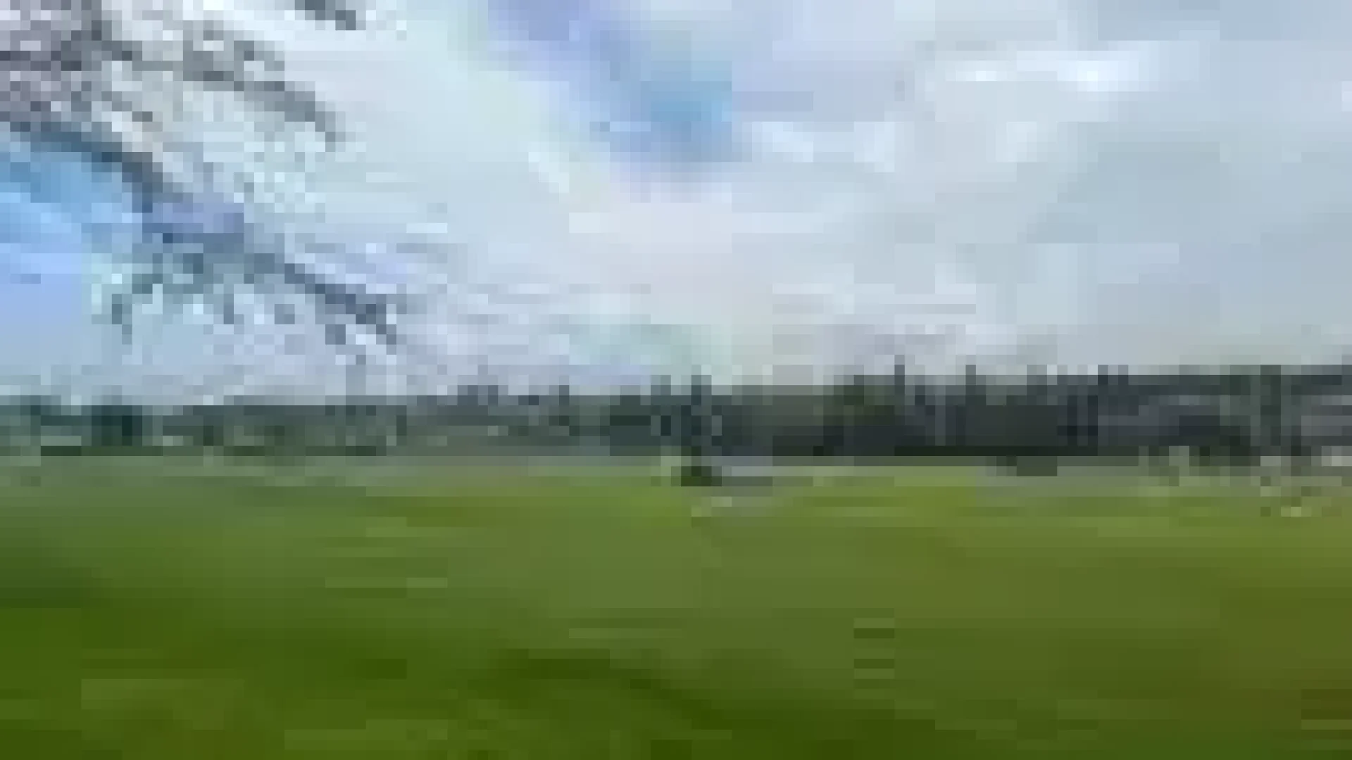 meldrum-13.webp